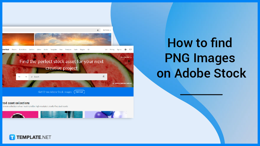 how-to-find-png-images-on-adobe-stock-featured-header
