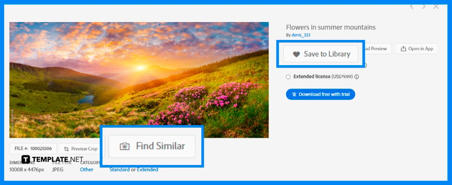 how to find png images on adobe stock step