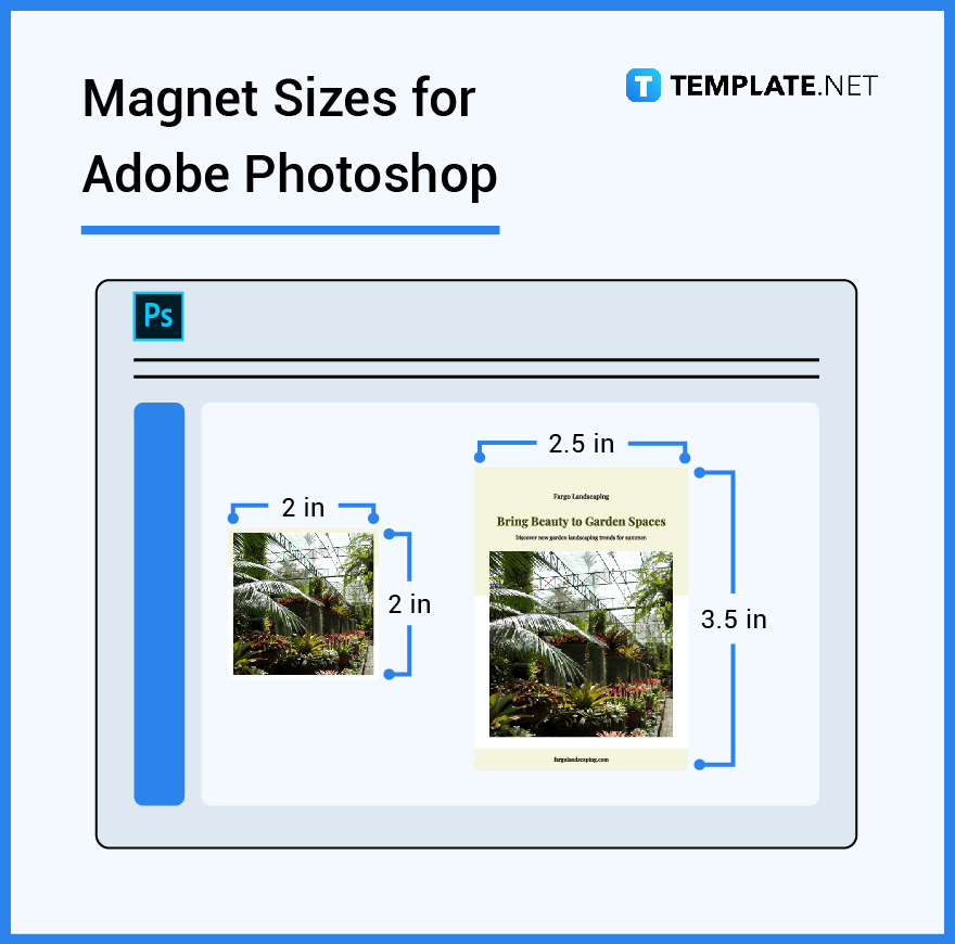 magnet-sizes-for-adobe-photoshop