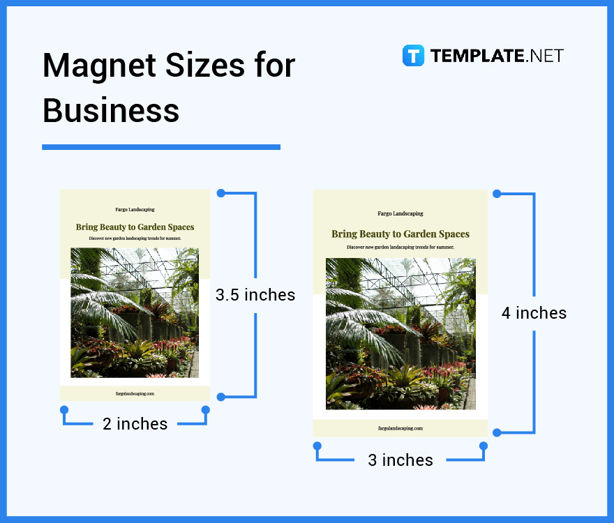 magnet-sizes-for-business