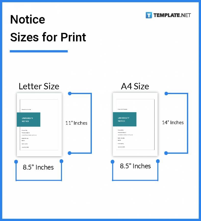 notice-sizes-for-print-788x867