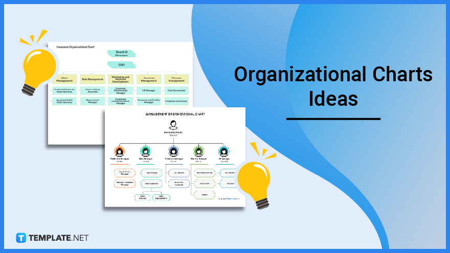 organizational-charts-ideas