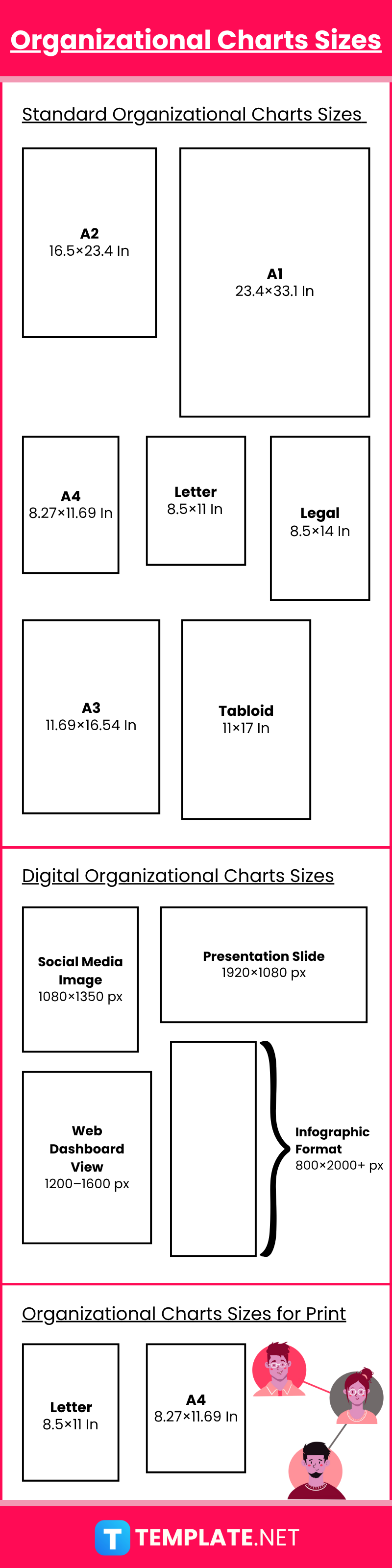 Organizational Charts Sizes