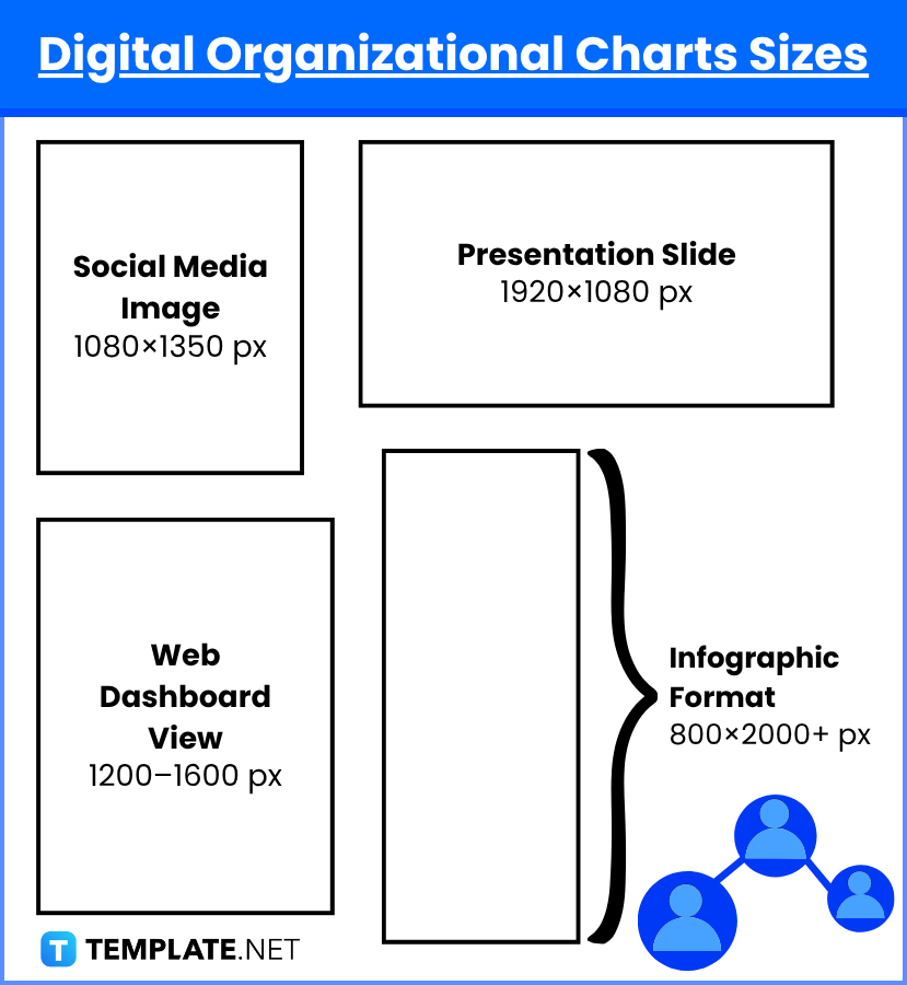 Organizational Charts Sizes