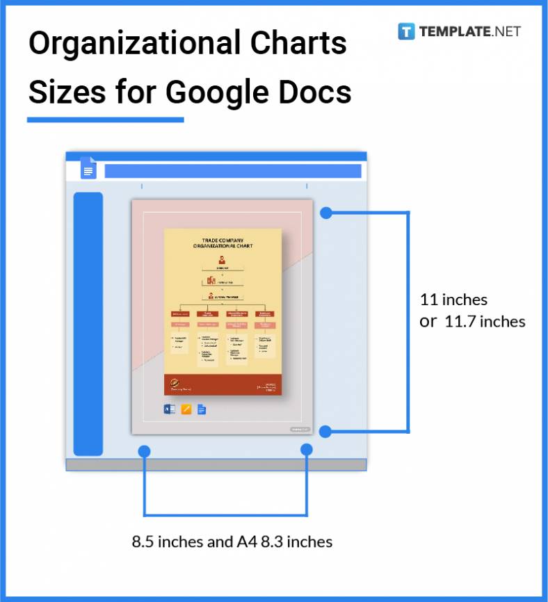organizational-charts-sizes-for-google-docs-788x866