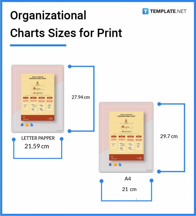 organizational-charts-sizes-for-print-788x867
