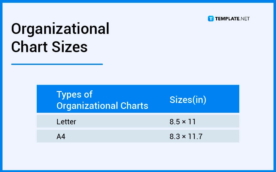 organizational-charts-sizes