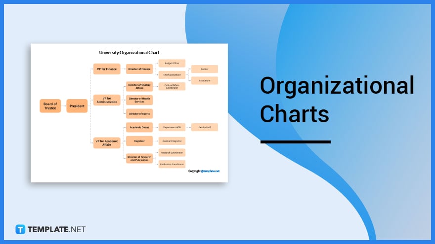 organizational-charts