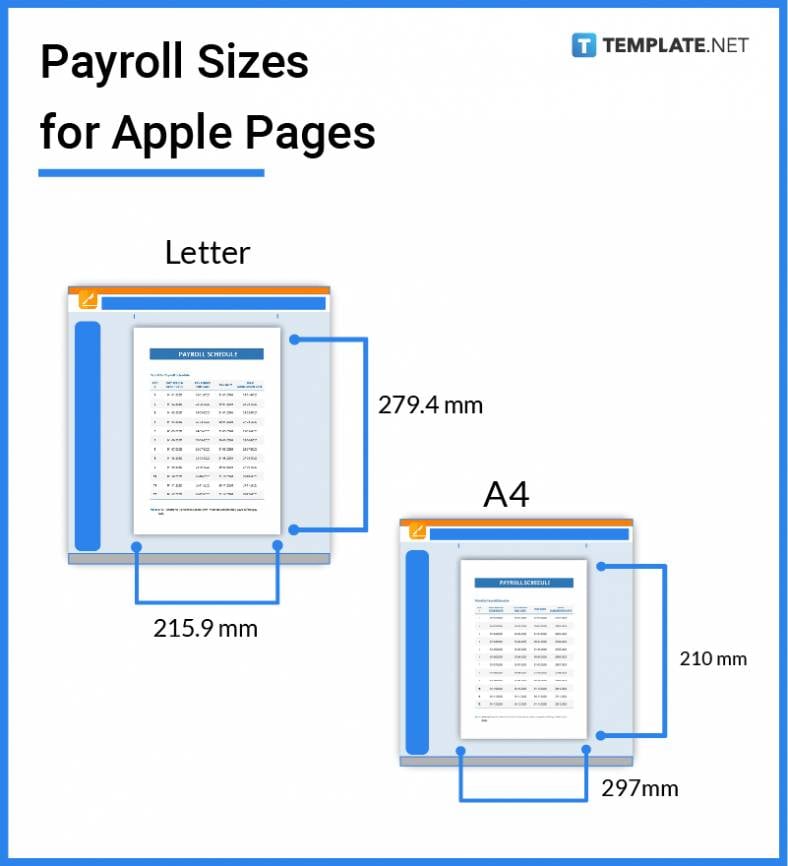 payroll-sizes-for-apple-pages-788x866