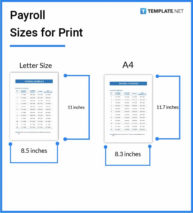 payroll-sizes-for-print-788x867
