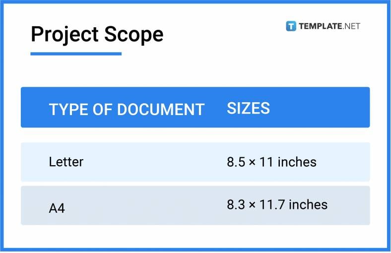 Project Scope Sizes