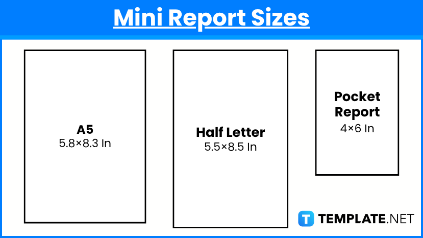 Report Sizes