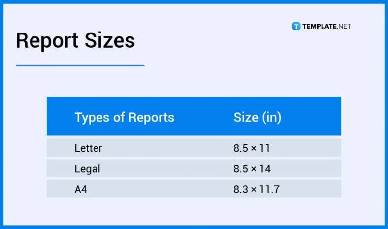 report sizes 788x