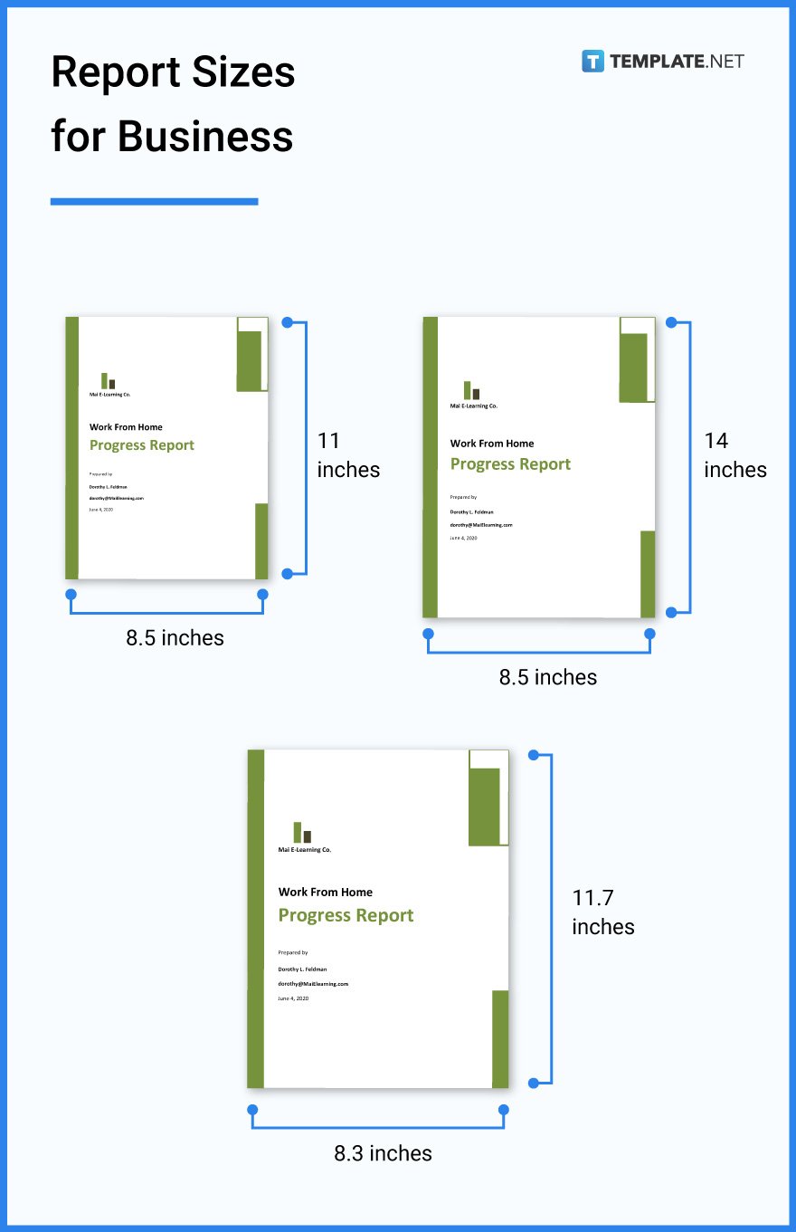 report sizes for business