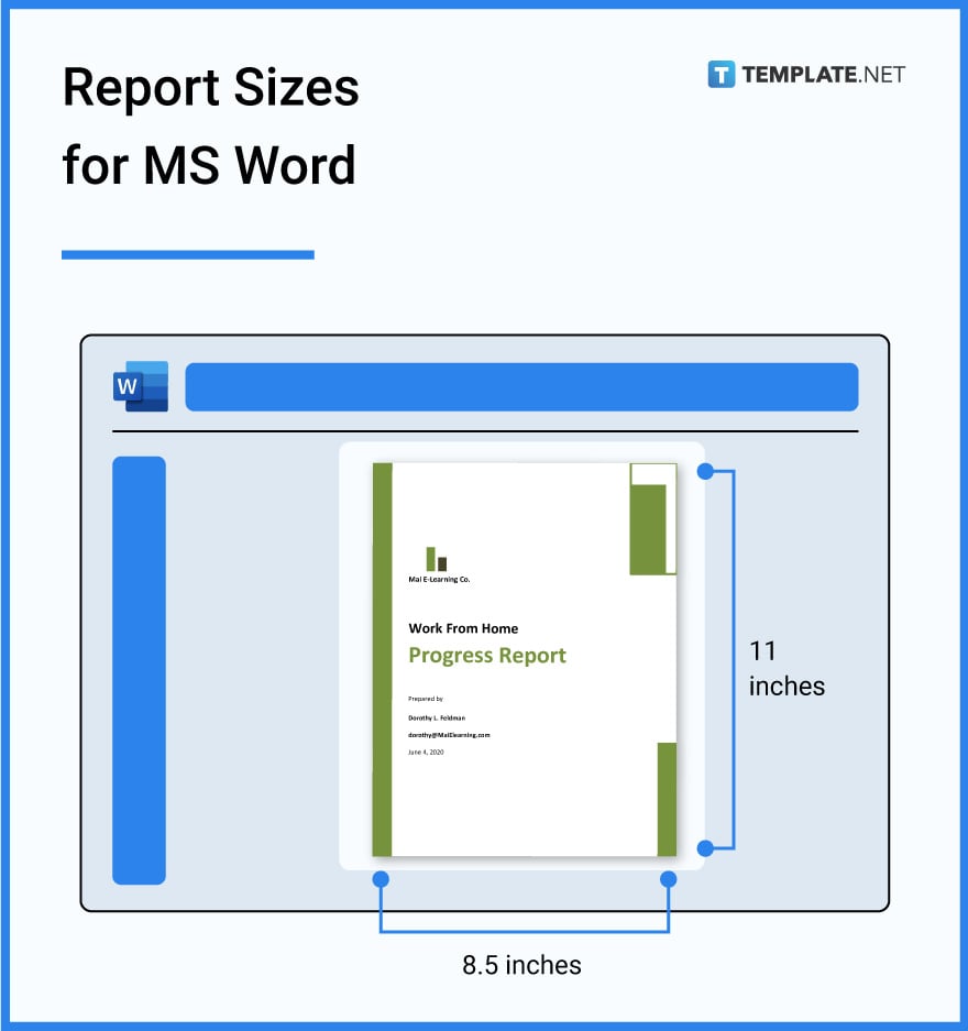 report sizes for ms word