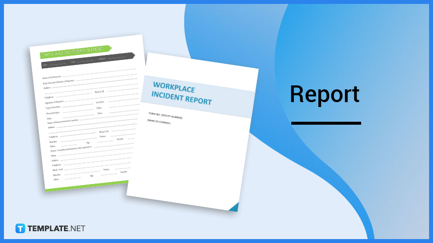 what is a report meaning