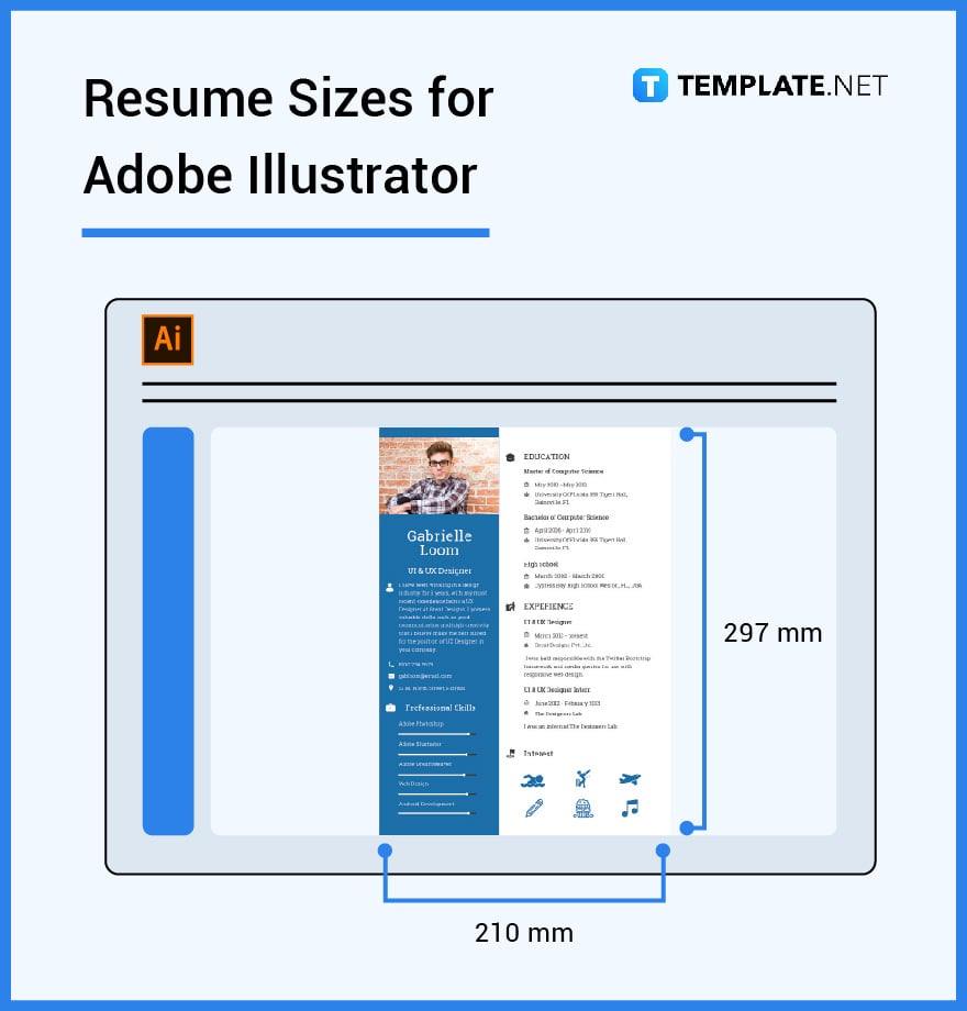 resume sizes for adobe illustrator