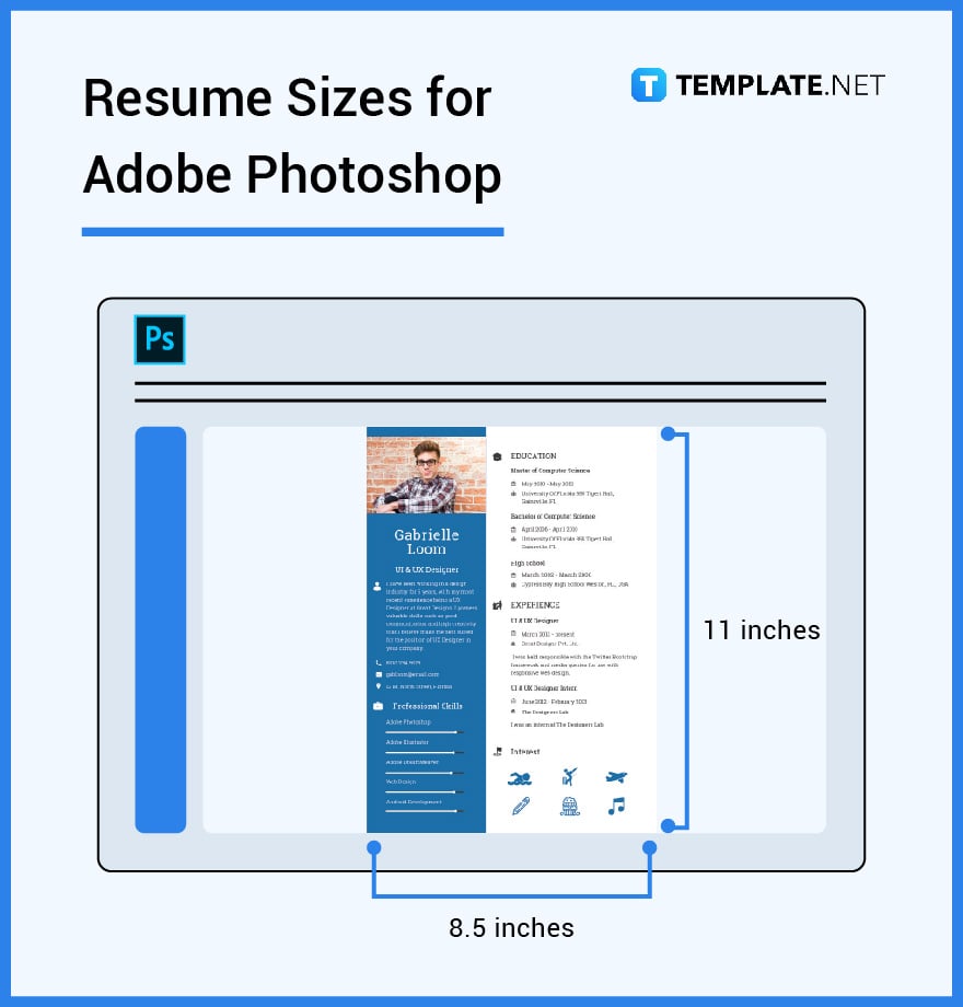 resume sizes for adobe photoshop