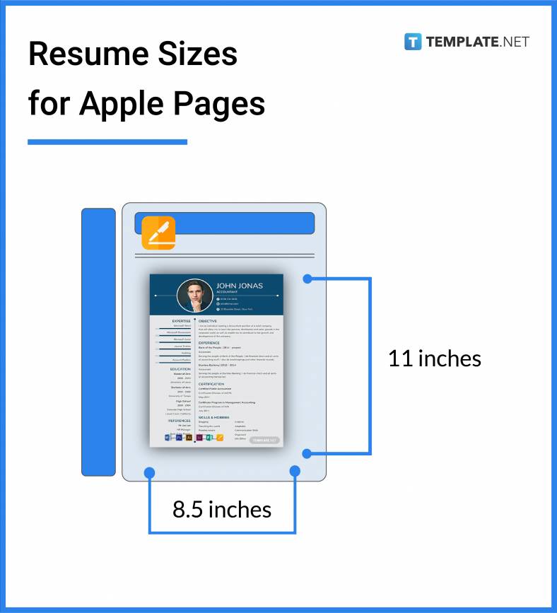 Resume Size Dimension, Inches, mm, cms, Pixel