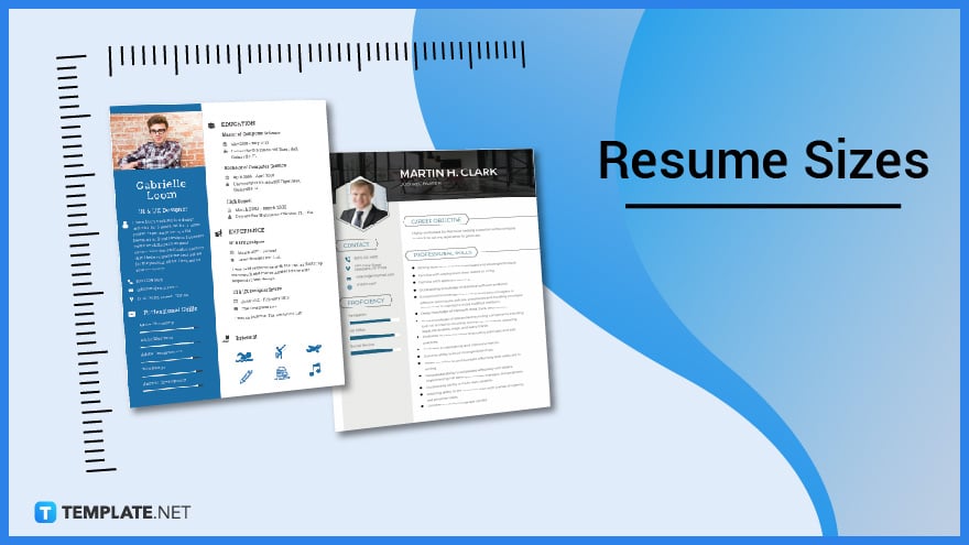 resume format text size