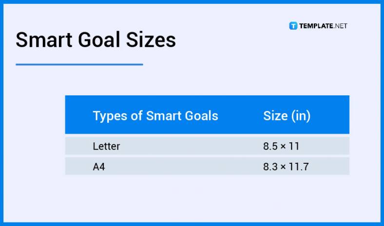 smart-goals-sizes1-788x465