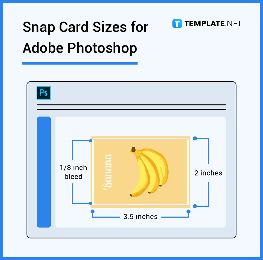 snap-card-sizes-for-adobe-photoshop