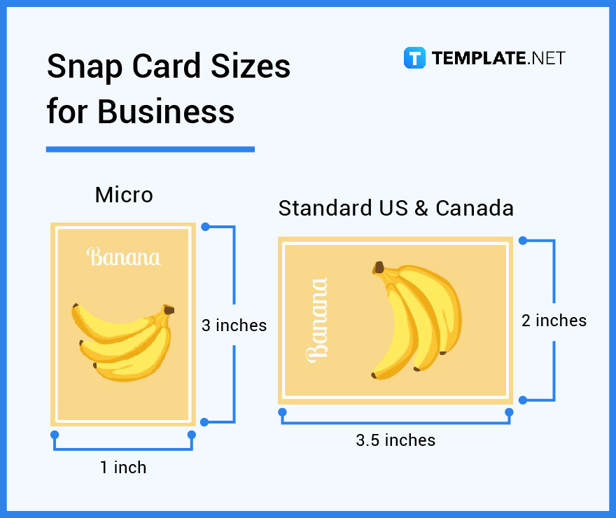 snap-card-sizes-for-business