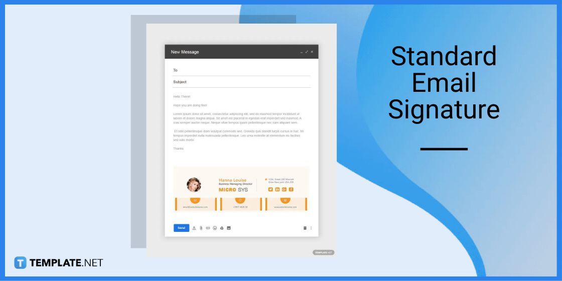 standard email signature template