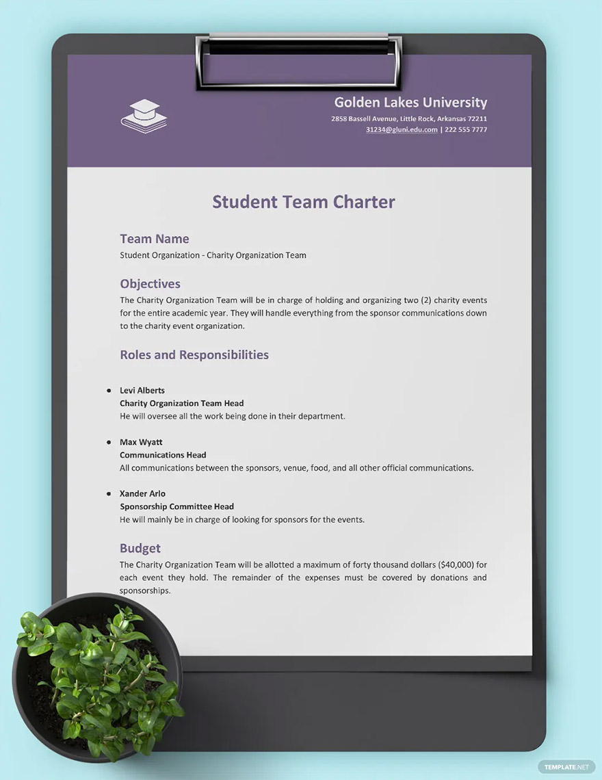 student-team-charter