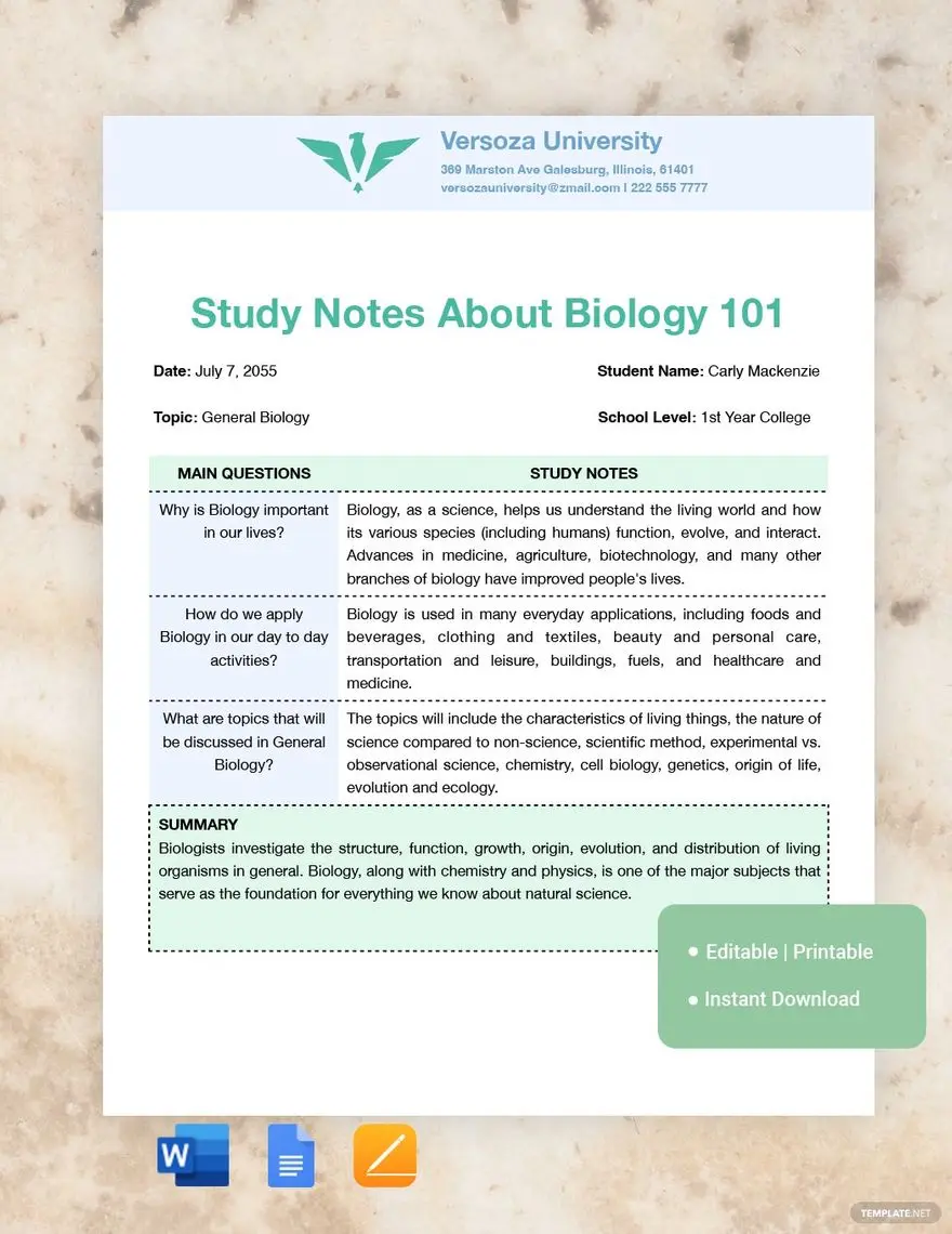 summary-note-taking-ideas-and-examples