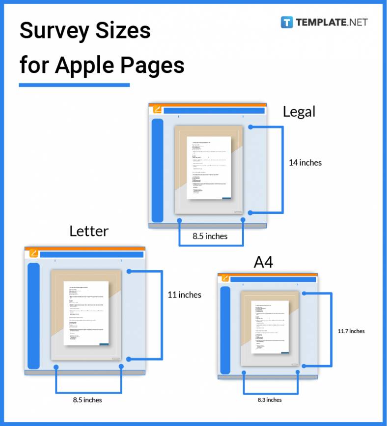 survey-sizes-for-apple-pages-788x866