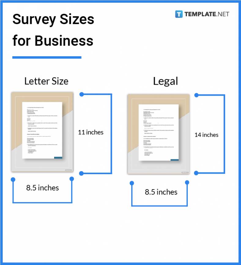 survey-sizes-for-business-788x867