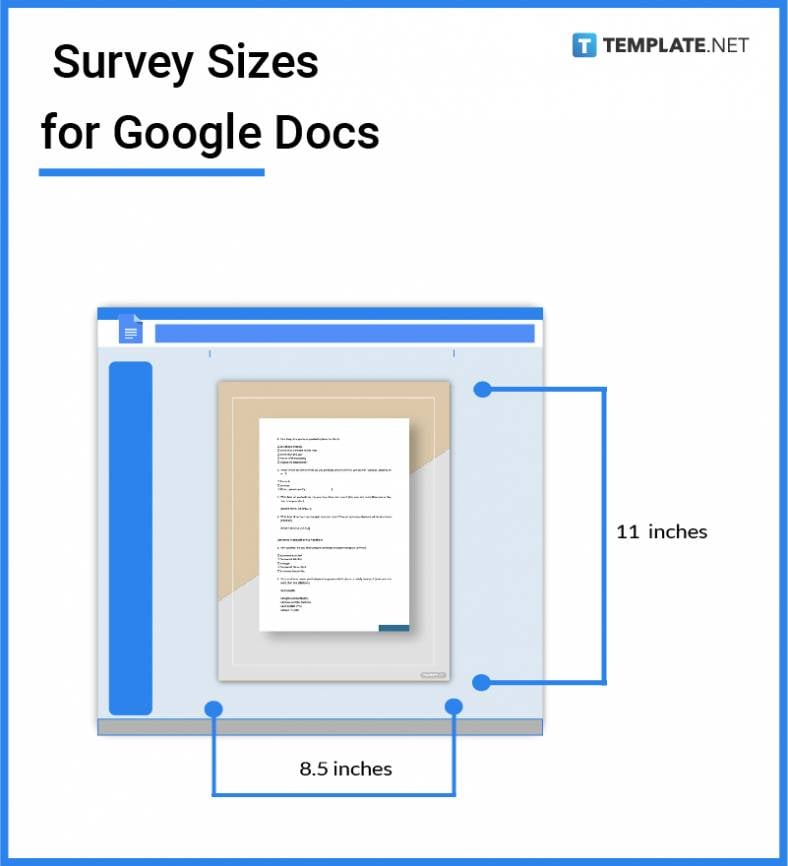 survey-sizes-for-google-docs-788x866