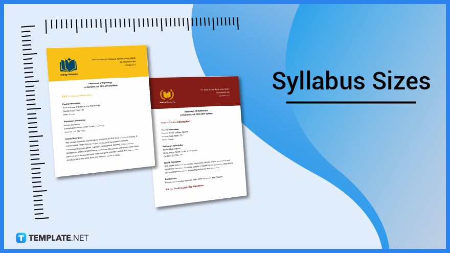 syllabus-sizes