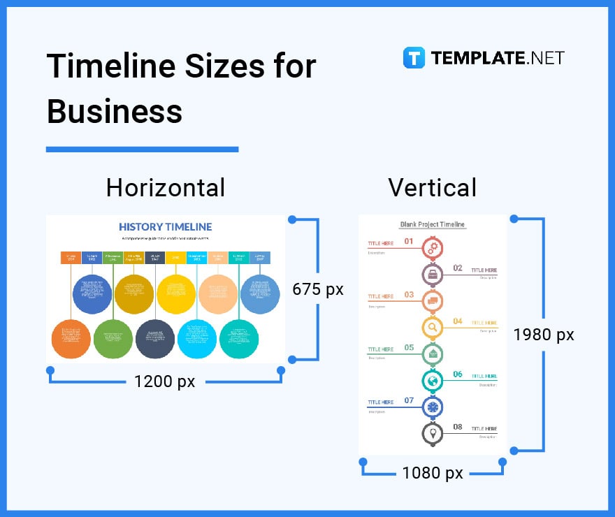 timeline-sizes-for-business