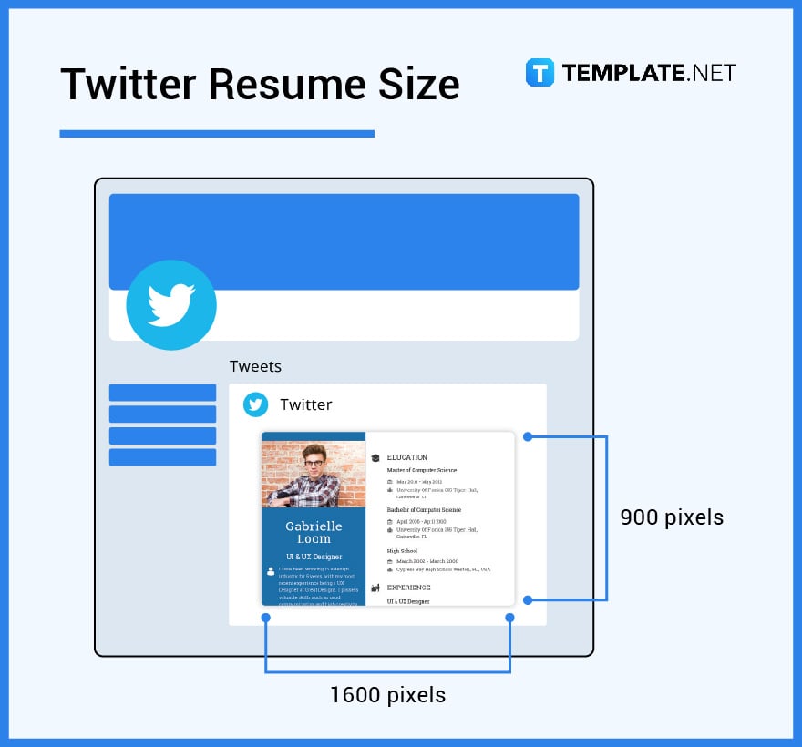 twitter resume size
