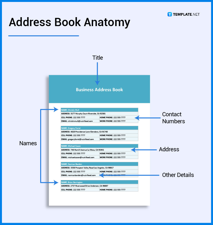 what-is-an-address-book-definition-types-uses