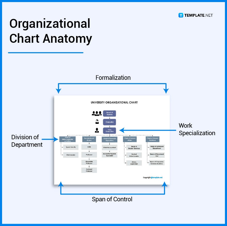 what’s-in-organizational-charts-parts