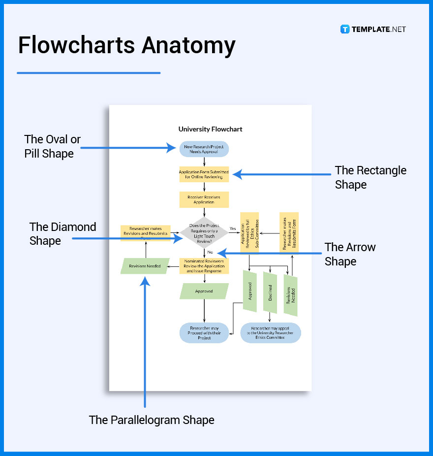 what’s-in-a-flowchart-parts