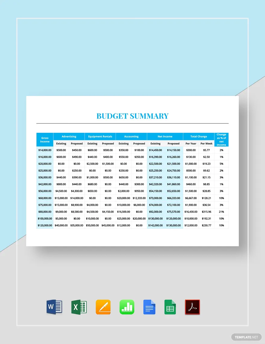 budget summary