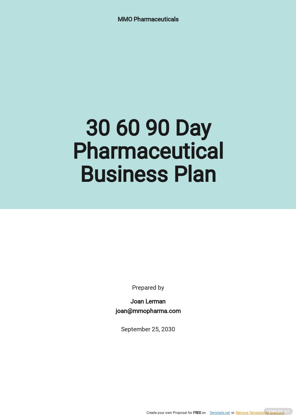 30-60-90-day-pharmaceutical-business-plan