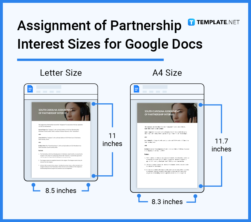 assignment-of-partnership-interest-sizes-for-google-docs