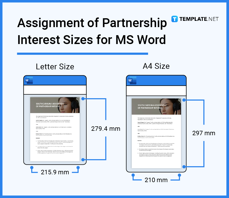 assignment-of-partnership-interest-sizes-for-ms-word