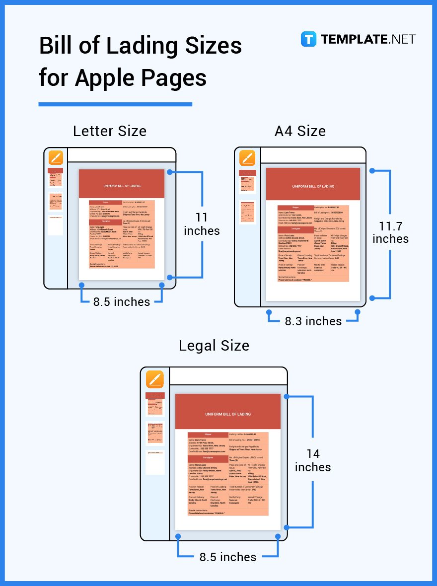 bill-of-lading-sizes-for-apple-pages