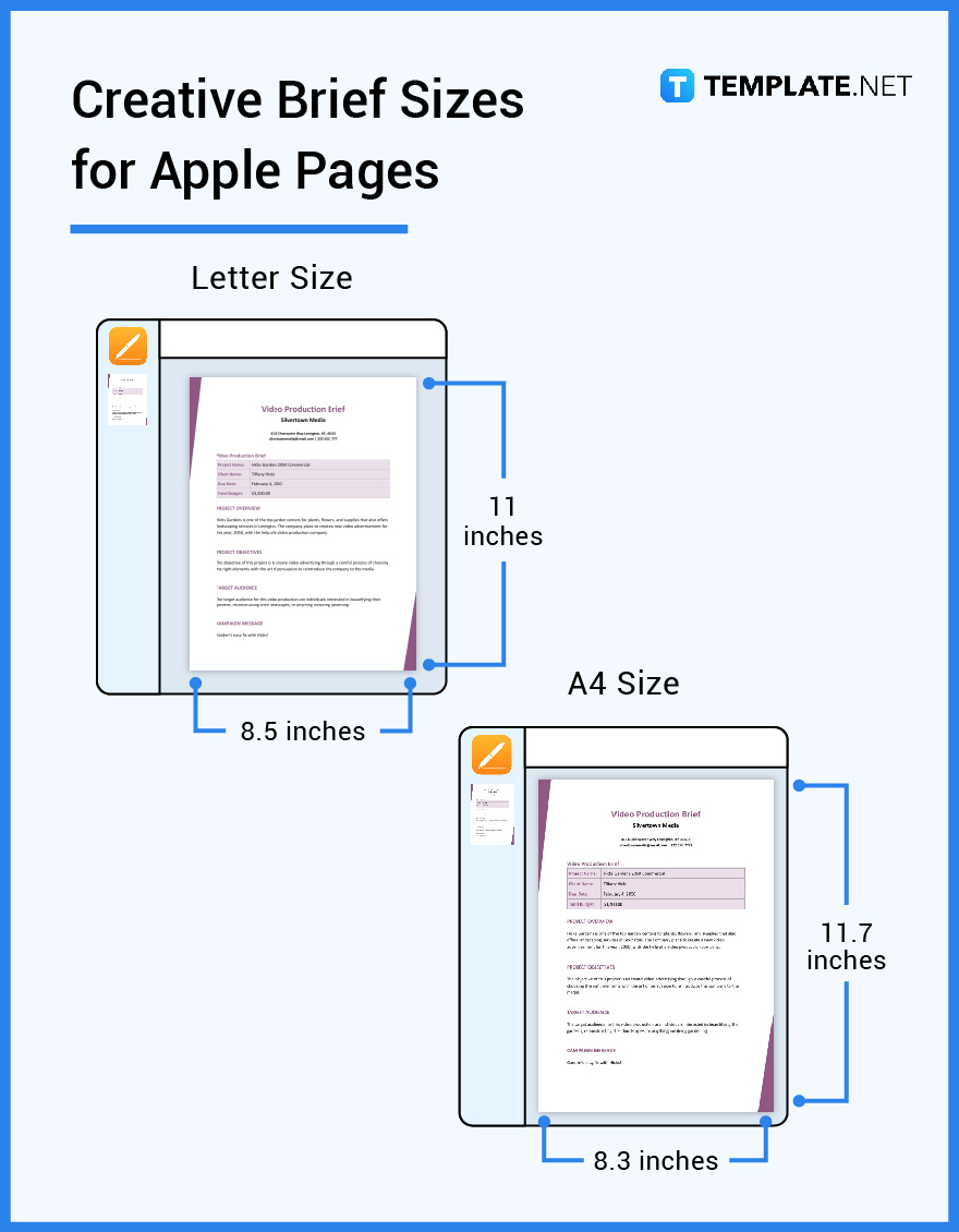 creative brief sizes for apple pages
