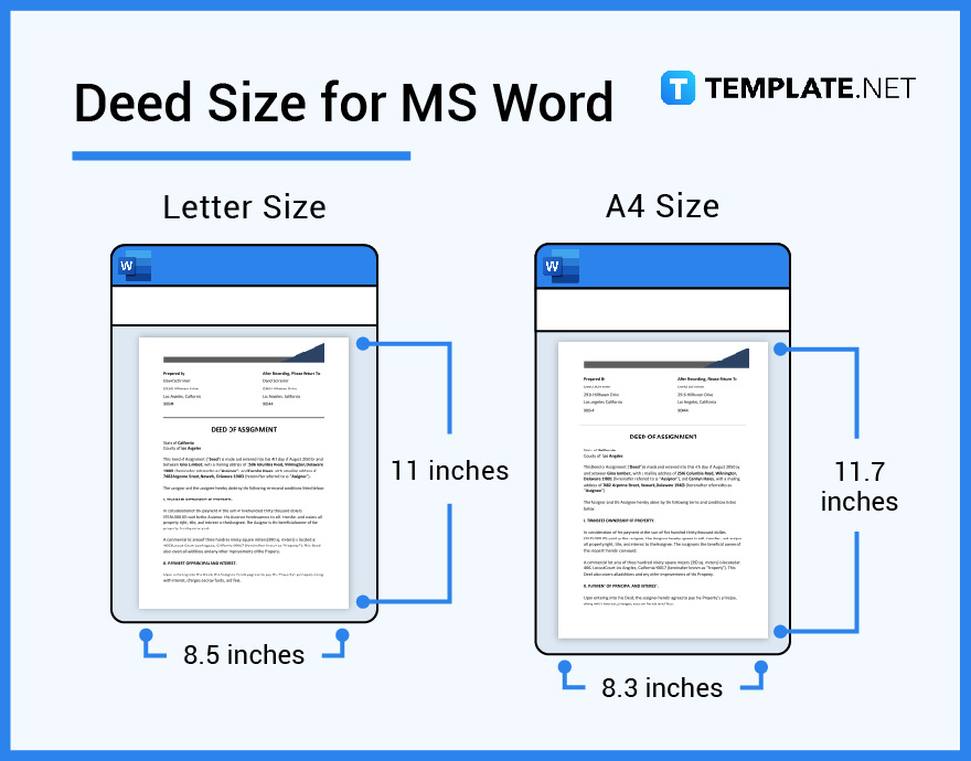 Deed Size - Dimension, Inches, mm, cms, Pixel