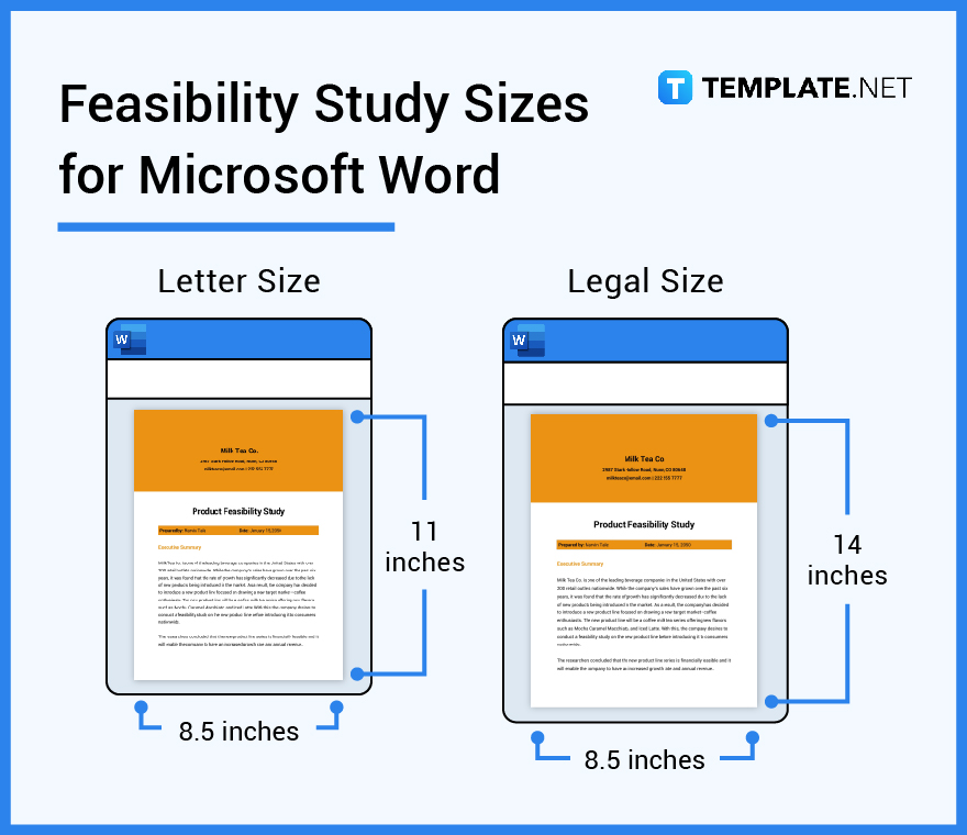 feasibility-study-sizes-for-microsoft-word