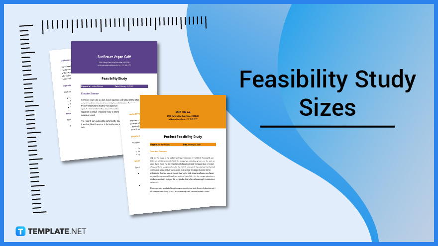 feasibility-study-sizes