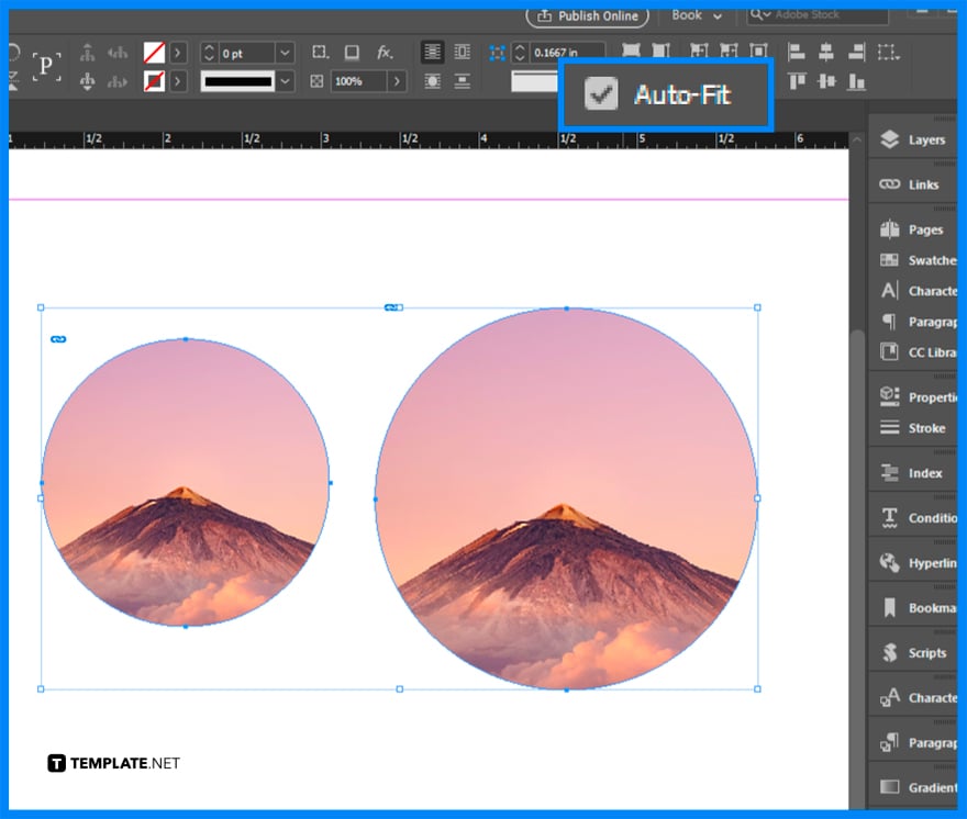 how-do-i-resize-a-picture-on-adobe-indesign-step-4