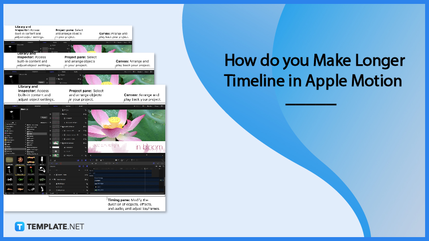 how-do-you-make-longer-timeline-in-apple-motion